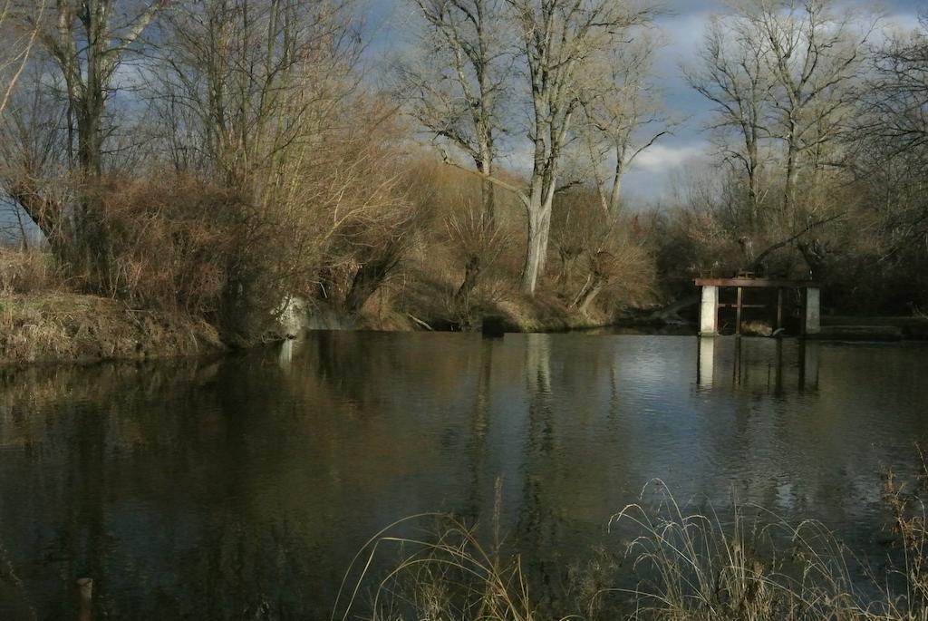 Penzion U Reky Vojkovice  エクステリア 写真