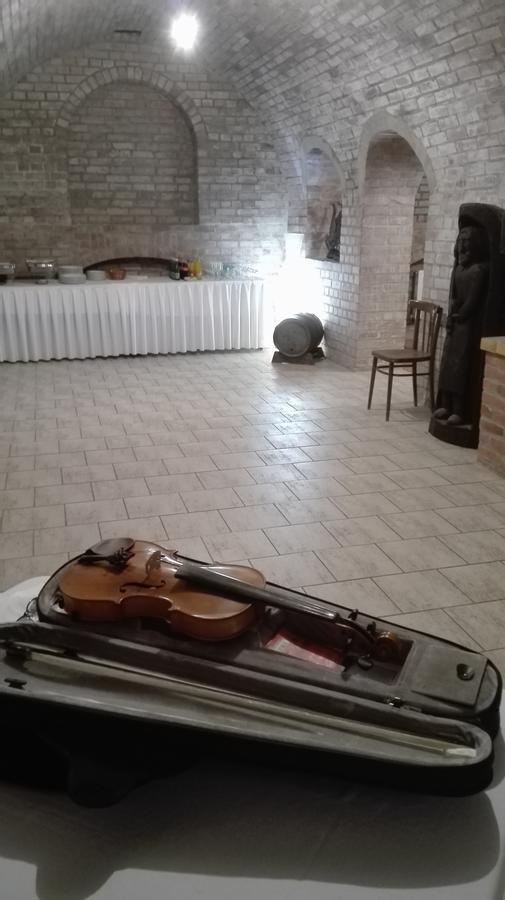 Penzion U Reky Vojkovice  エクステリア 写真