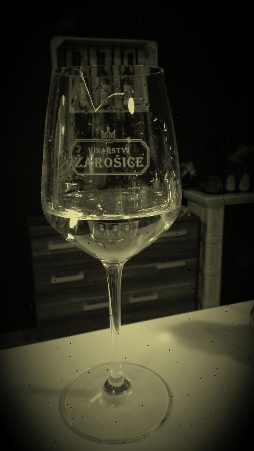 Penzion U Reky Vojkovice  エクステリア 写真